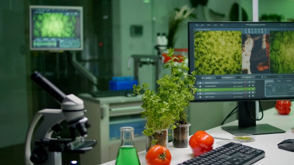 haccp food safety software